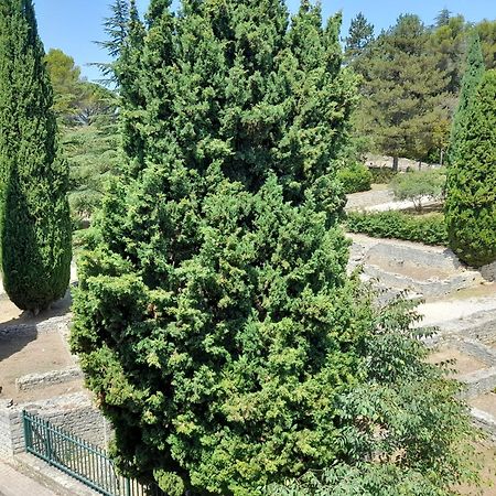 Апартаменты Grande Terrasse Et Vue Sur Le Site Antique Везон-ла-Ромен Экстерьер фото